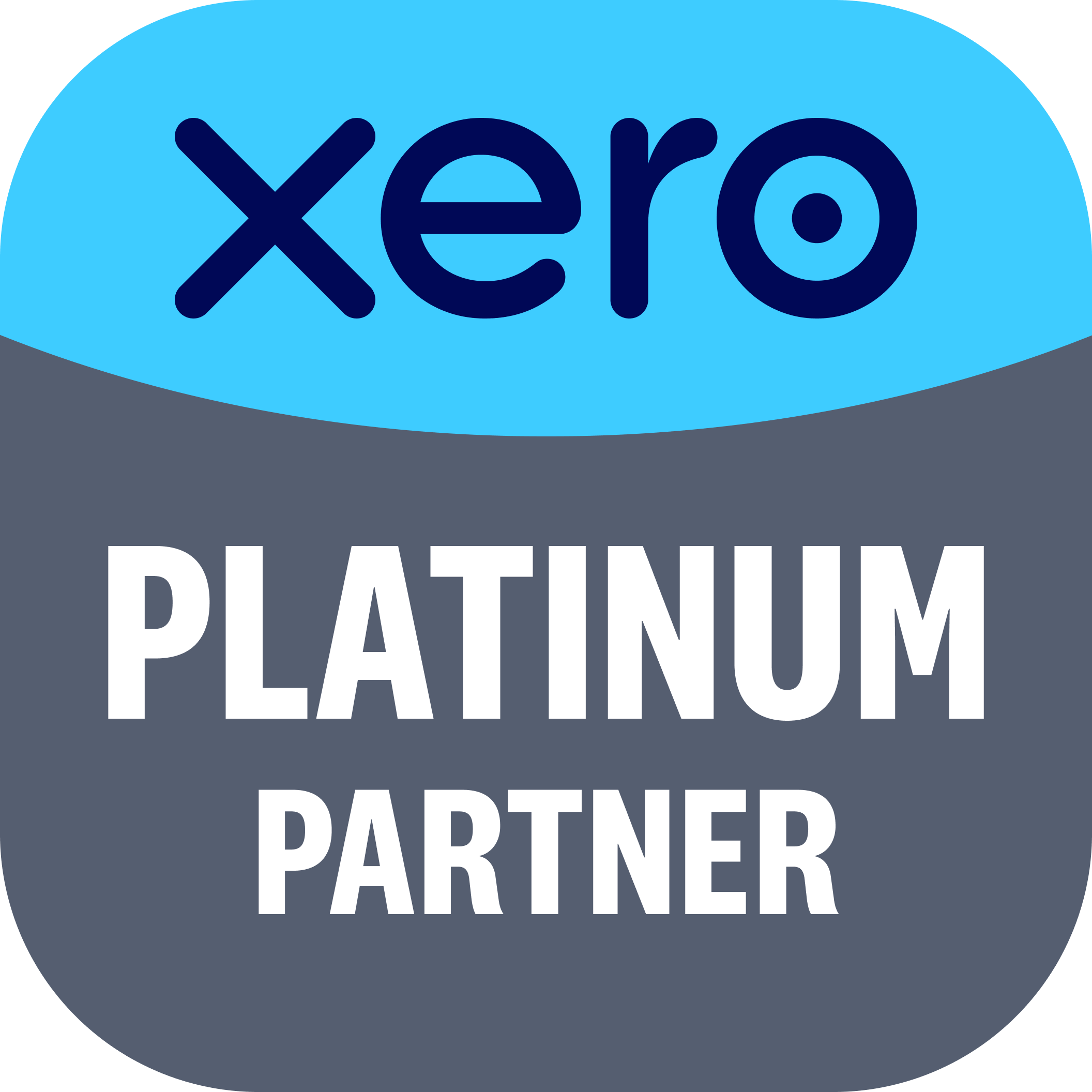 Xero Champion Partner